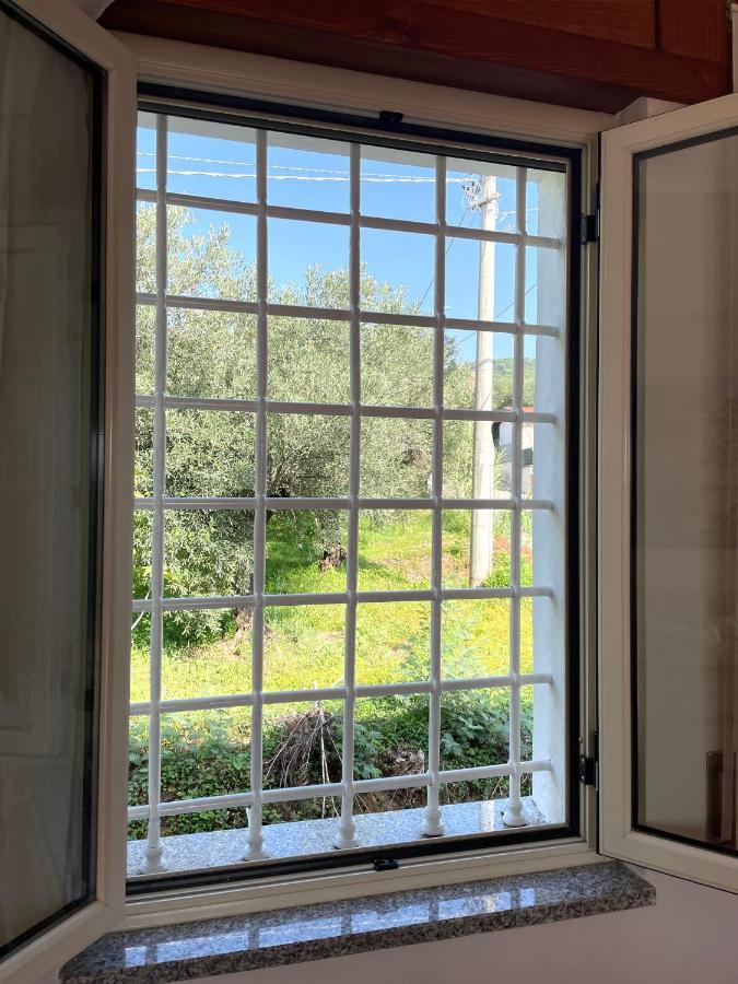 La Casa Di Isa Διαμέρισμα Lamezia Terme Εξωτερικό φωτογραφία